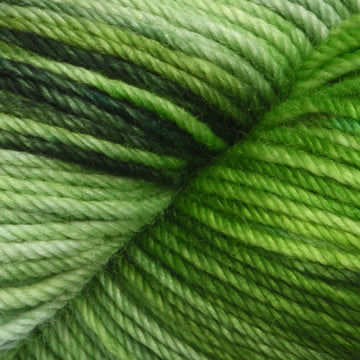 Dream in Color Classy Yarn - Merino Wool Worsted