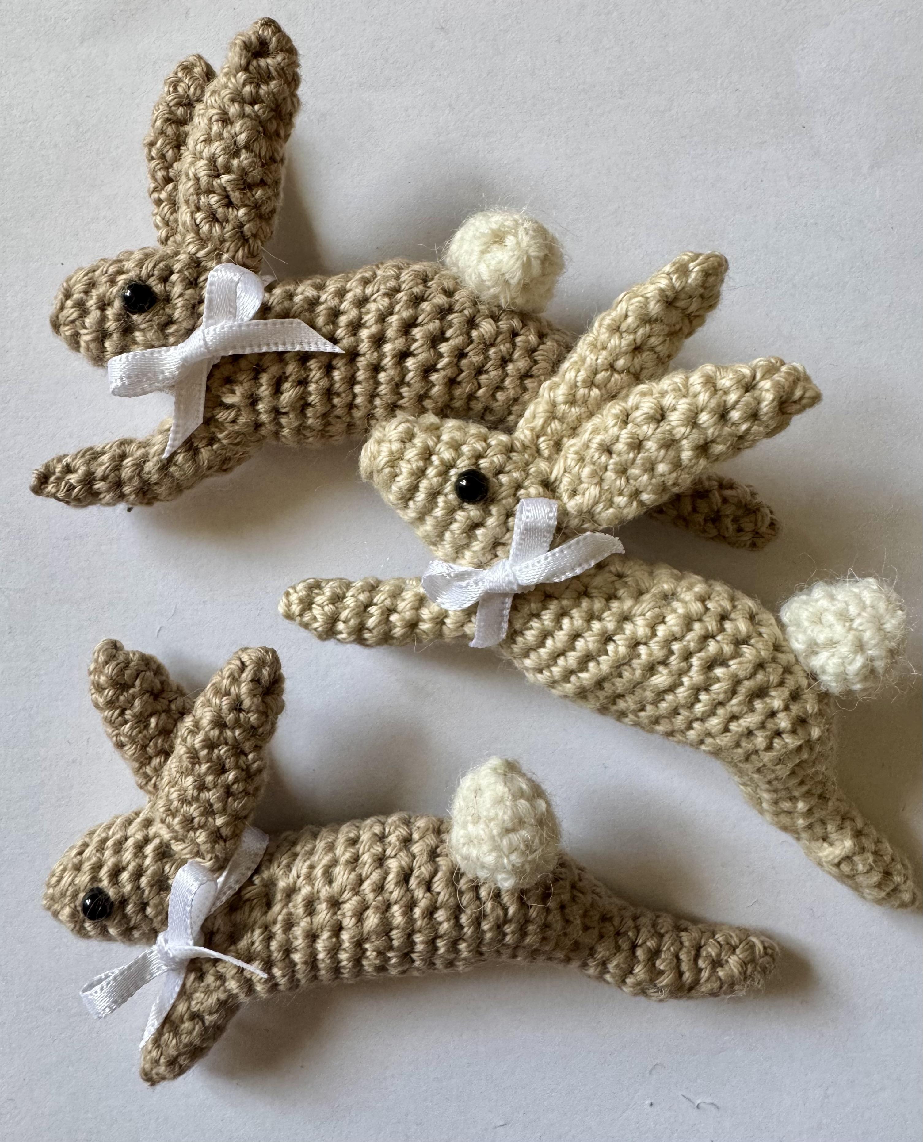 Leaping Spring Hare