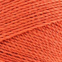 Pumpkin (78159)