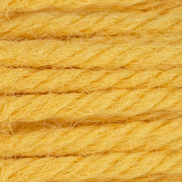 7504