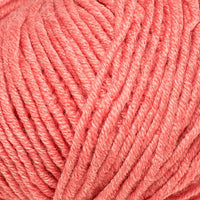 Blush (11219)