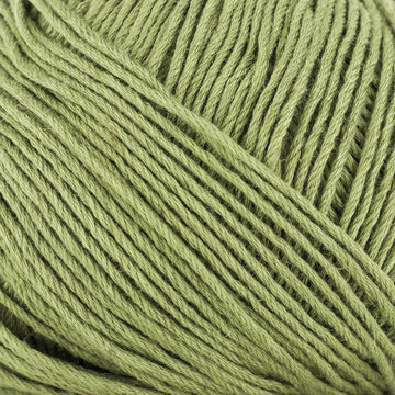 Light Olive (47)