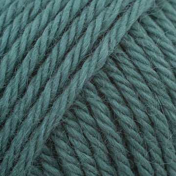 Lichen (507)