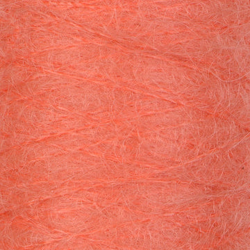 Coral (42)