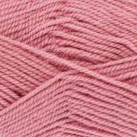 Carnation (Dupl4055)