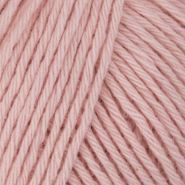 Rosa (13)