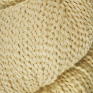Seashell (04)