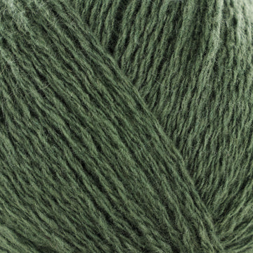 Olive (201618)