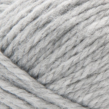 Silver (843-149B)