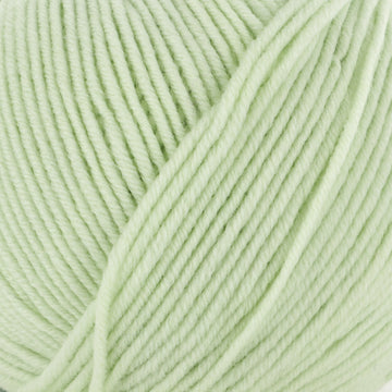 Lily Pad (137)