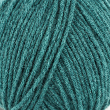 Teal (201362)
