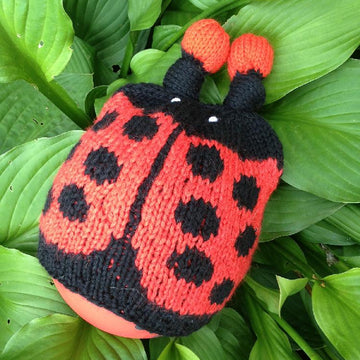 Honey Bumble & Little Lady Bug Hats