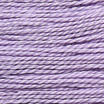 Orchid (6140)