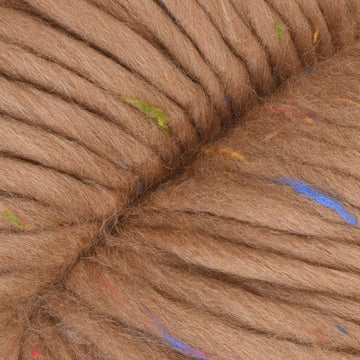 Camel (8)
