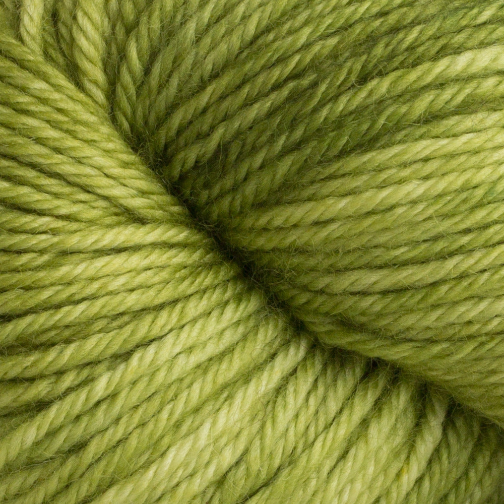 Dream in Color Classy Yarn - Merino Wool Worsted
