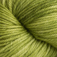 Shiny Moss (9)