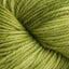 Shiny Moss (9)
