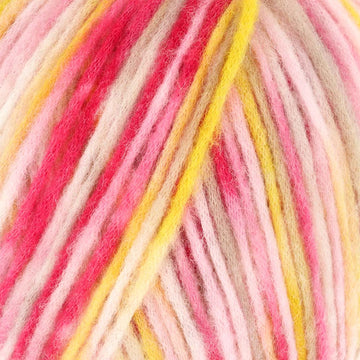 Araucania Abrazo Yarn - Merino Wool 10509