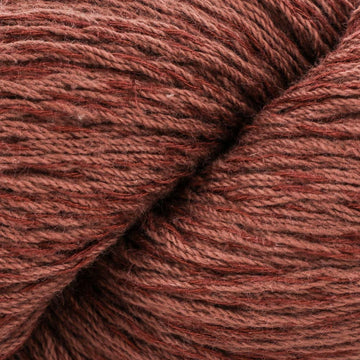 Acorn (105)
