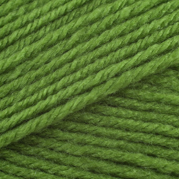 Fern (216)