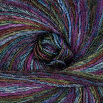 Cygnus (6825)
