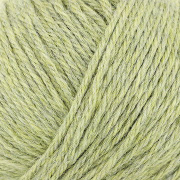 Spring willow