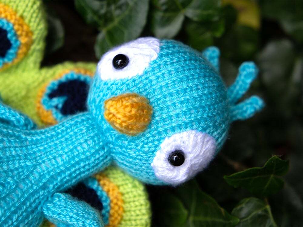 Deramores Peacock Toy Knitting Pattern