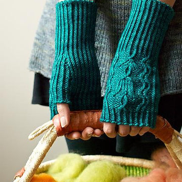 Helleborus Mitts