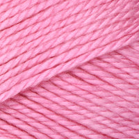 Begonia Pink (67)