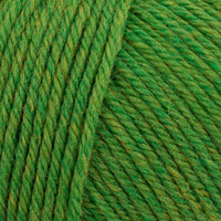 Fern Heather (384)