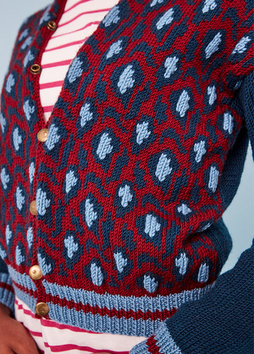 Debbie Bliss Frank PDF