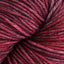 Sun Rose (293)
