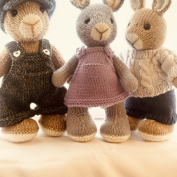 Elderberry Bunny and Outfits