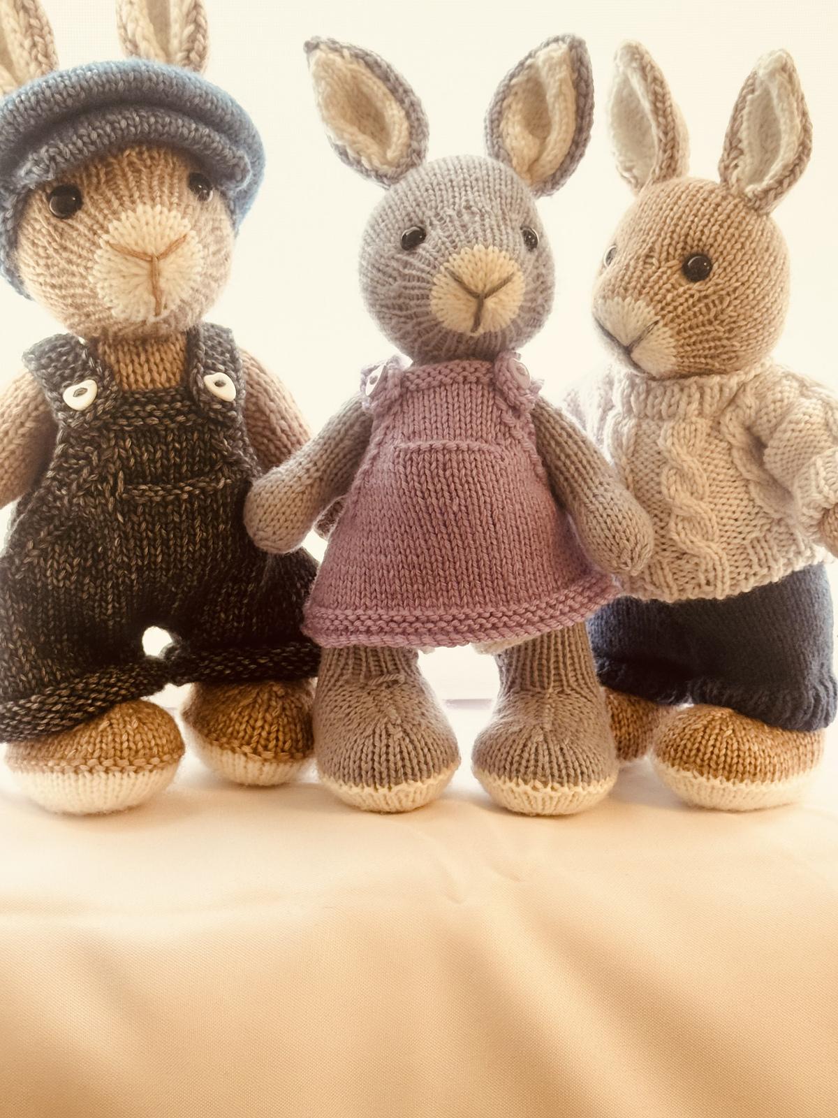 Elderberry Bunny and Outfits