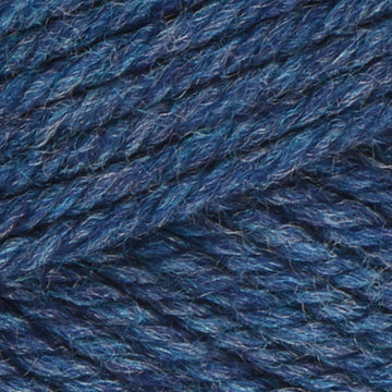 Delphinium (33138)