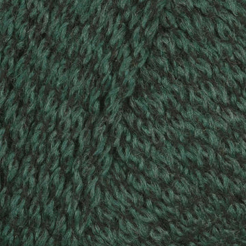 Evergreen (25)