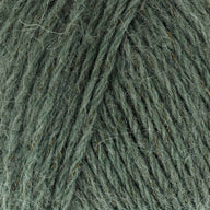 Clover (895)
