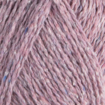 Tea rose (12519B)