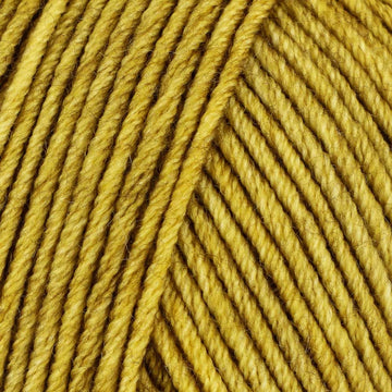 Mustard (7362)