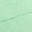 Fresh Mint (171S)