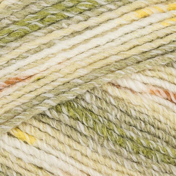 Willow (DUPL1385)