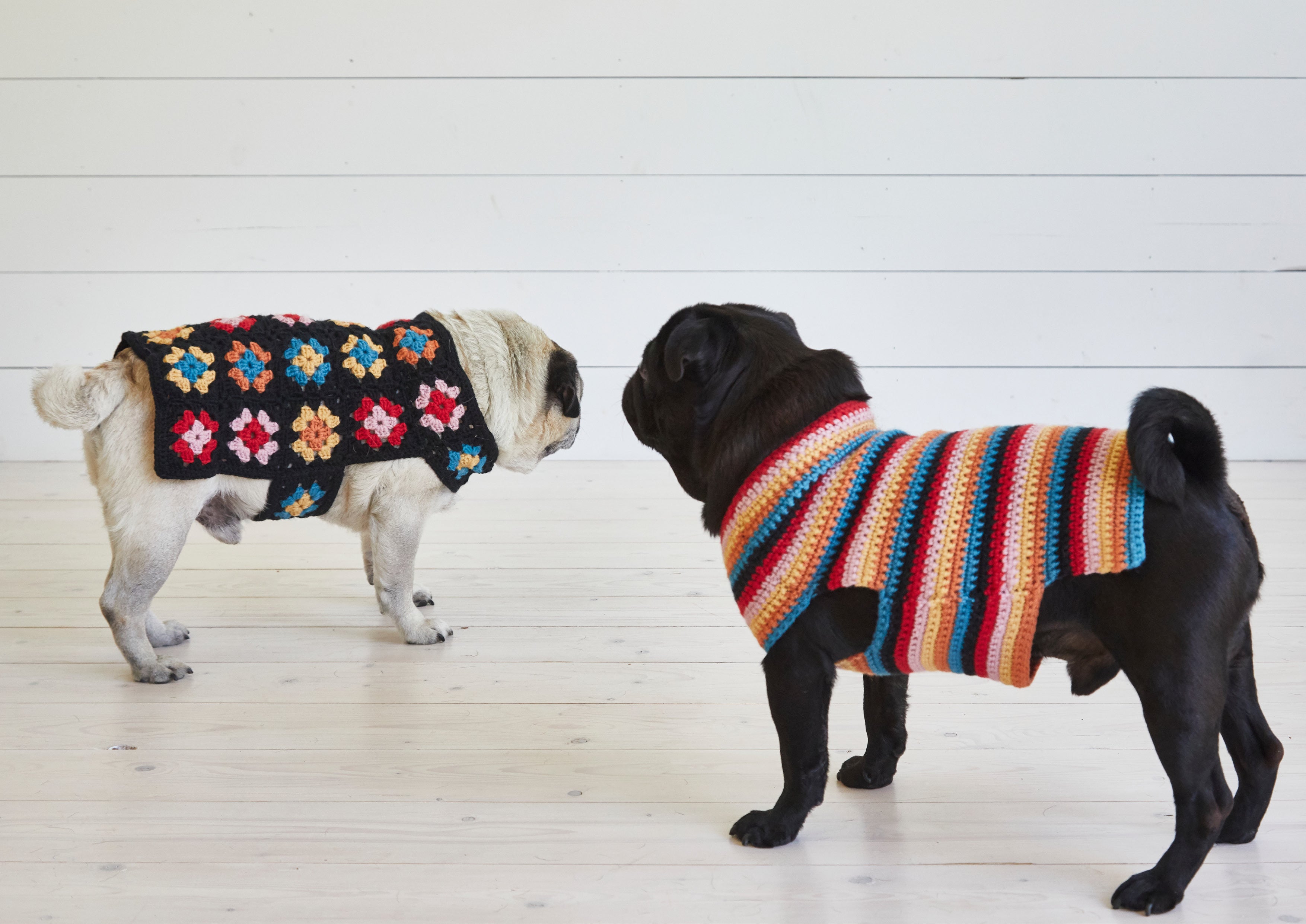 Debbie Bliss Crochet Dog Coat Set Pattern