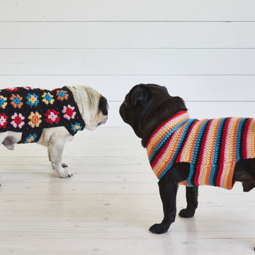 Debbie Bliss Crochet Dog Coat Set Pattern