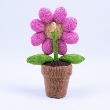 Deramores Flower Toy Knitting Pattern