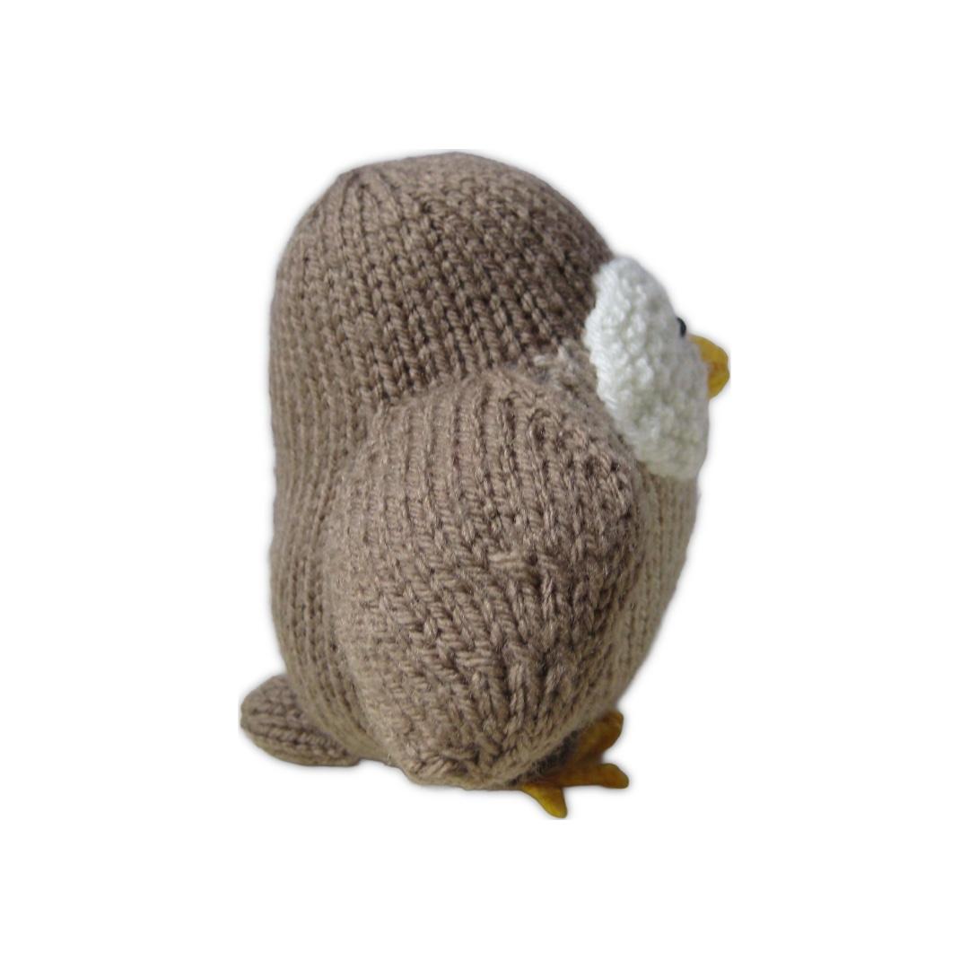 Graduation Owl