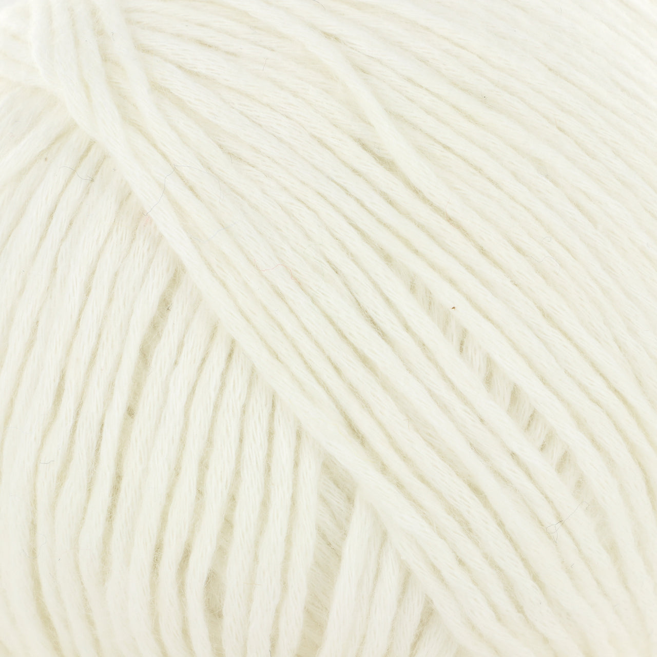 Jody Long Cottontails