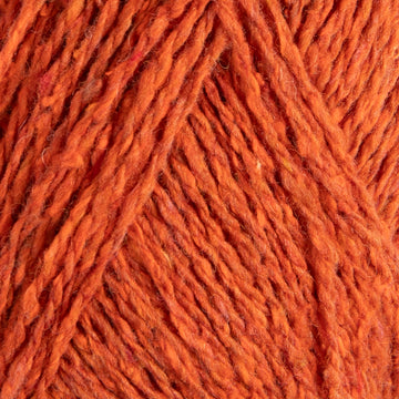 Pumpkin (12559B)