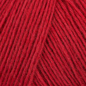 Rot (6)