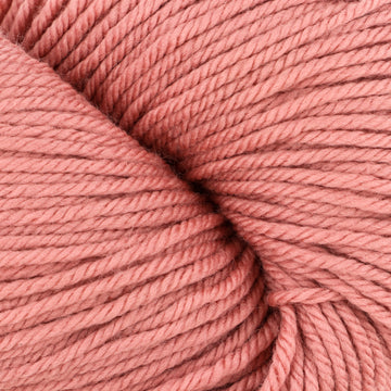 Solidos CollectionLapacho