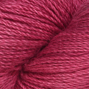 Bougainvilla (073)